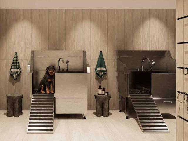 Apartment for rent in Barrie, Ontario