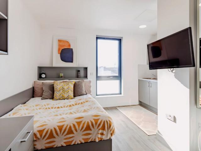 Studio for rent in Mount Pleasant, Nangreaves