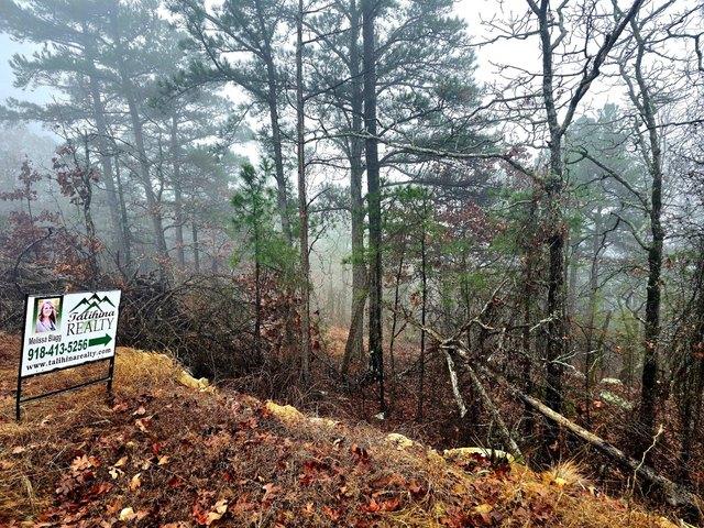 Land for sale in Honobia, Oklahoma
