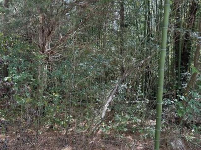 Land for sale in Hayden, Blount County
