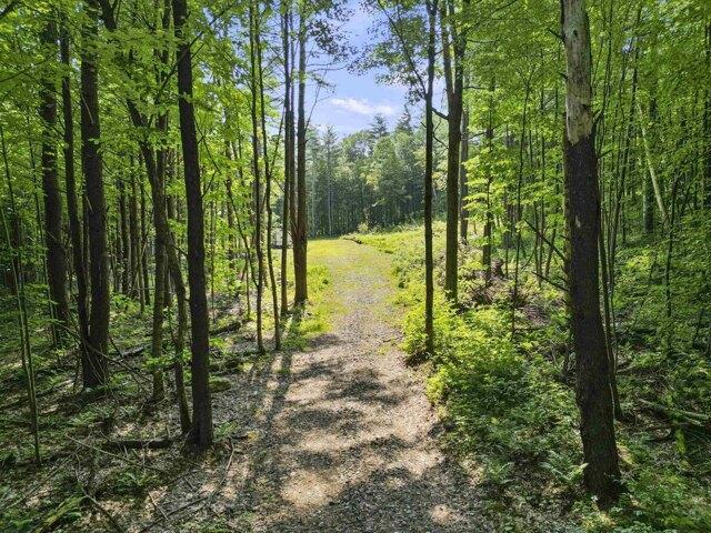 Land for sale in Bennington, Vermont