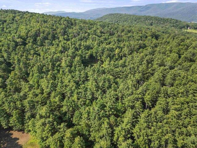 Land for sale in Bennington, Vermont