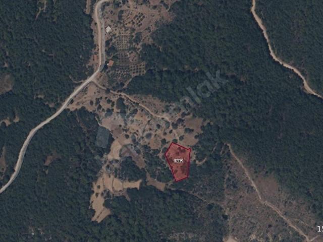Ula, Muğla içerisinde satılık Arsa