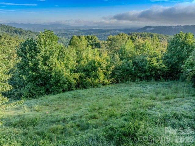 Land for sale in Hendersonville, North Carolina