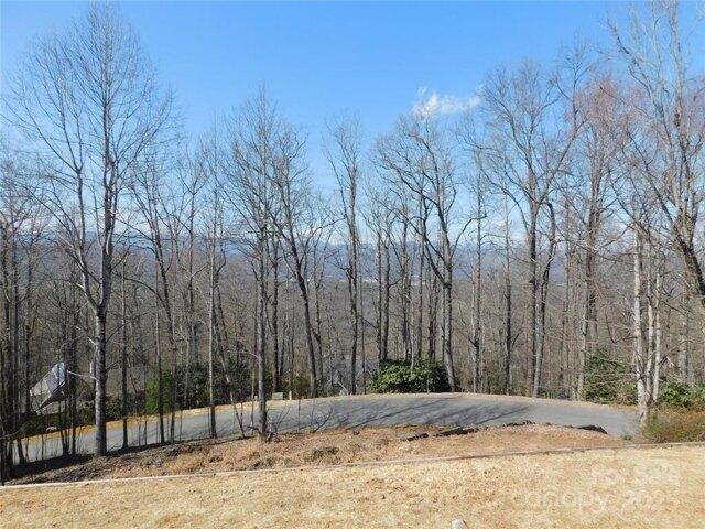 House for sale in Pisgah Forest
