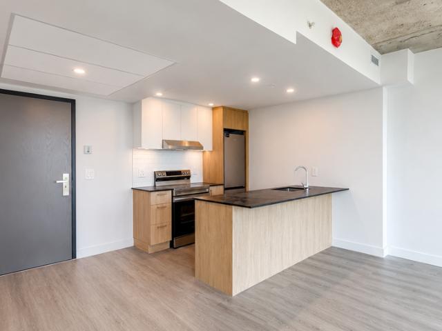 Apartment for rent in Vieux-Montréal, Montréal