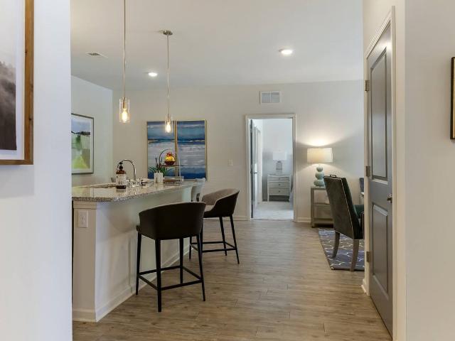 Apartment for rent in Asheville, North Carolina