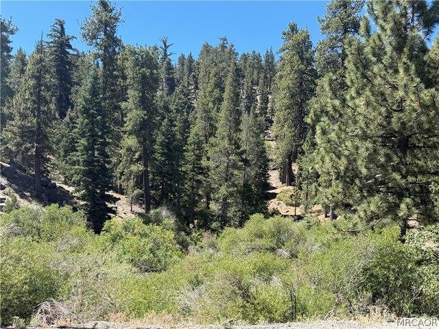 Land for sale in Big Bear Lake, California