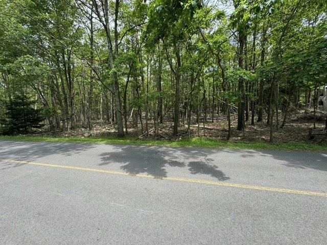 Land for sale in Albrightsville