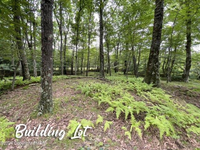 Land for sale in Canadensis