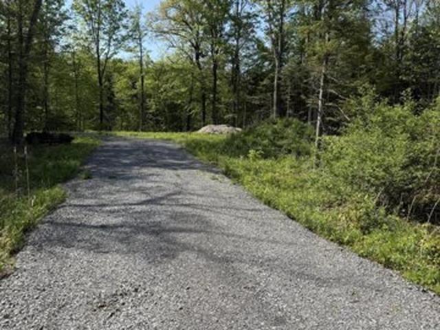 Land for sale in Duanesburg, New York