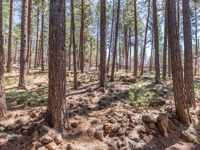 Apartment for rent in Flagstaff, Arizona