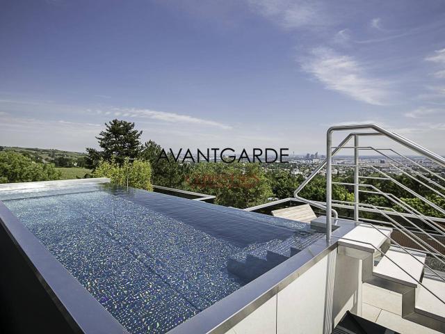 Apartment kaufen in Wien, KG Untersievering