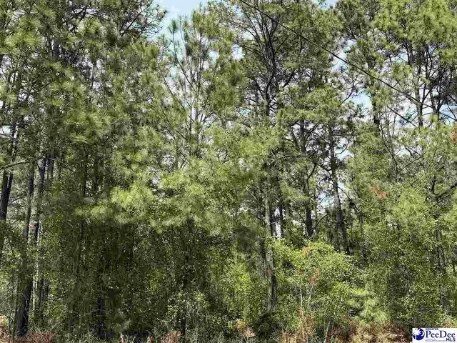 Land for sale in Dillon, South Carolina