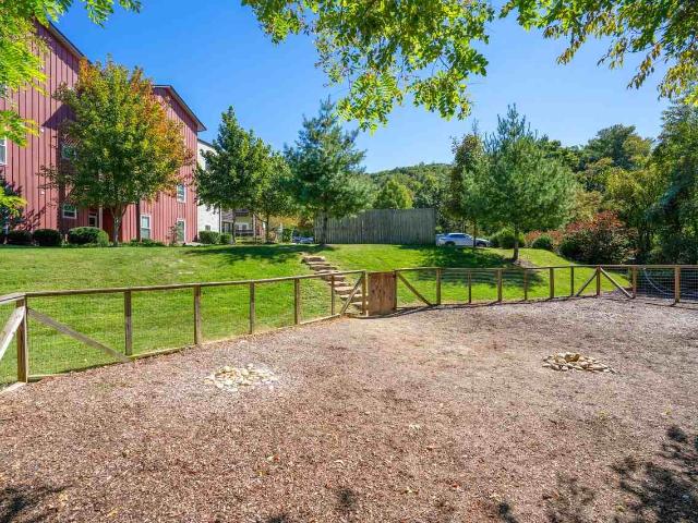 Apartment for rent in Asheville, North Carolina