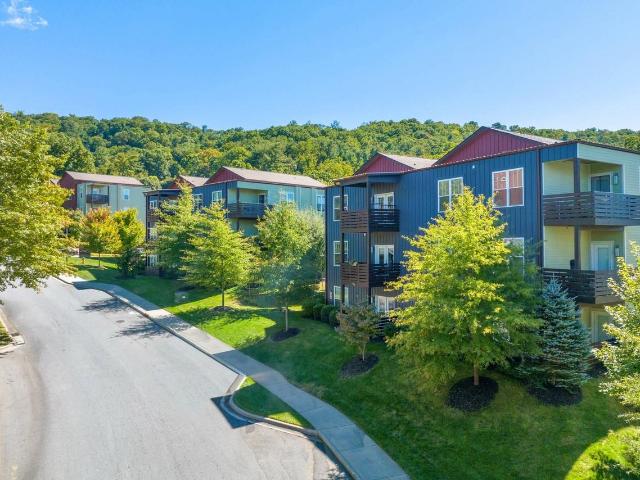 Apartment for rent in Asheville, Buncombe County