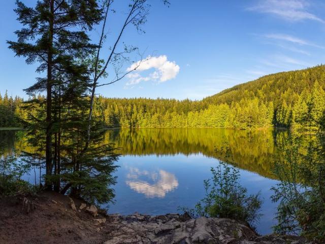 Apartment for rent in Abbotsford, British Columbia