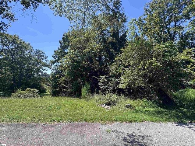 Land for sale in Drayton, South Carolina
