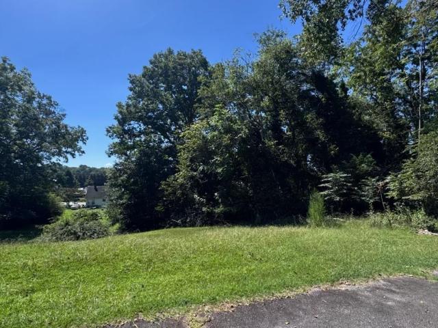 Land for sale in Drayton, South Carolina