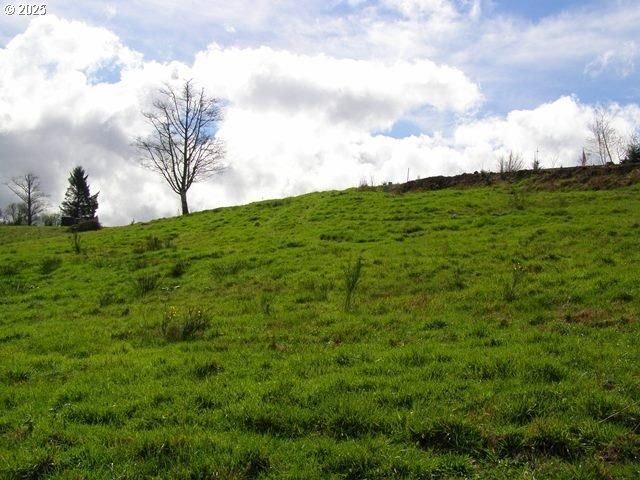 Land for sale in Oregonia
