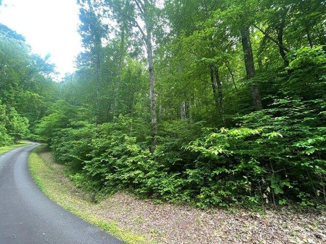 Land for sale in Hayesville