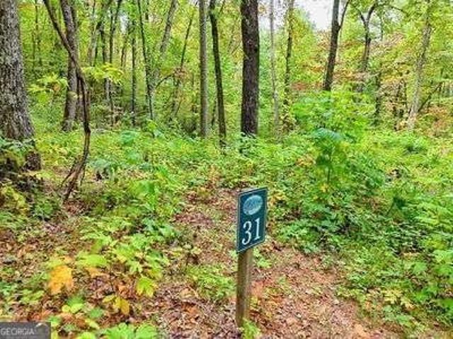 Land for sale in Hayesville, North Carolina