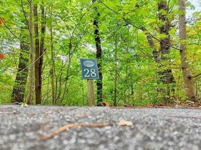 Land for sale in Hayesville, North Carolina