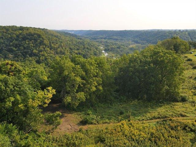 Land for sale in Eastman, Wisconsin