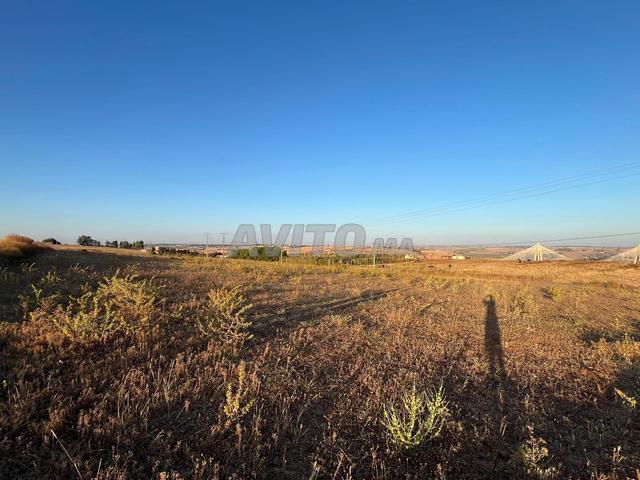 Propriété vente à El Ma, Gharb-Chrarda-Beni Hssen