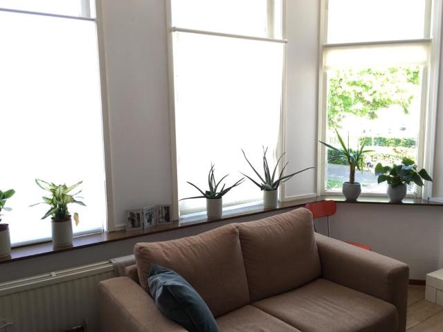 Studio te huur in Haarlem, Noord Holland