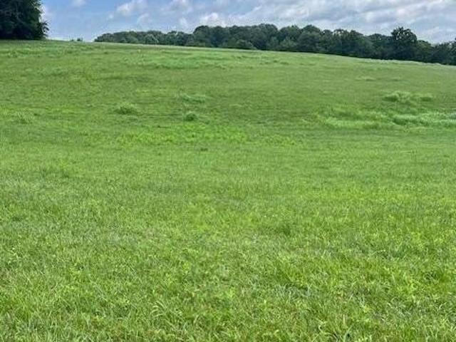 Land for sale in Freeland