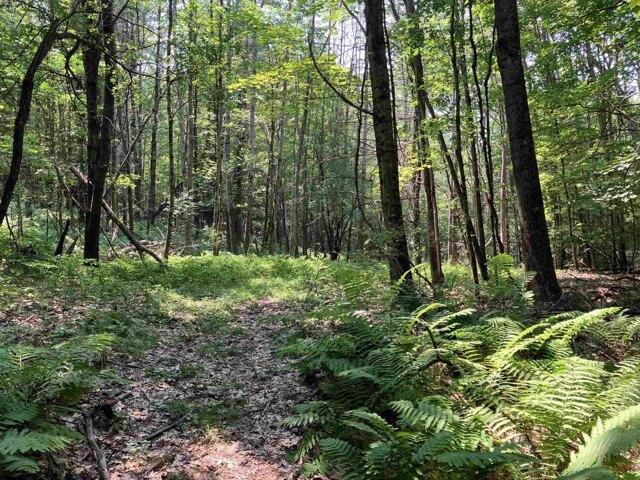 Land for sale in New Hampshire