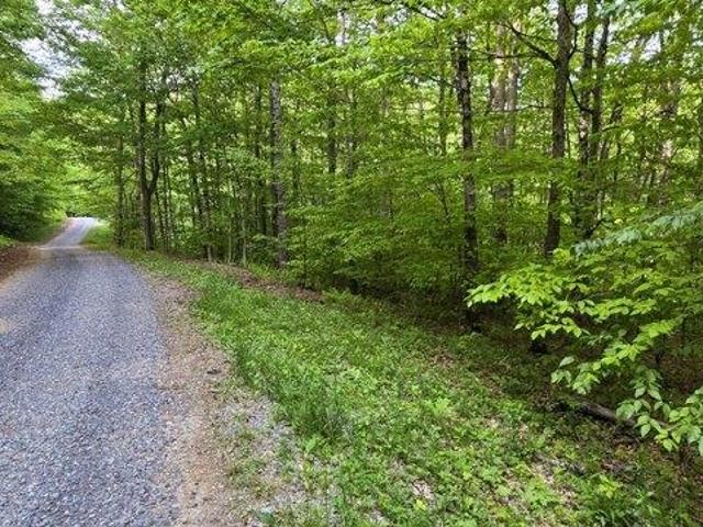 Land for sale in West Virginia