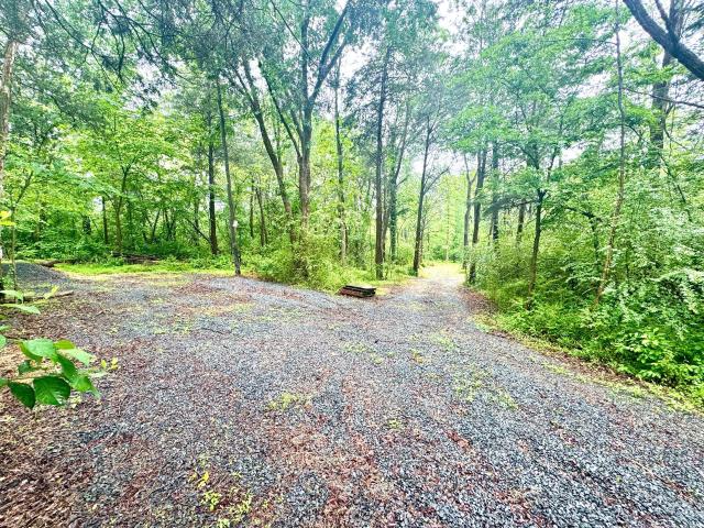 Land for sale in Virginia
