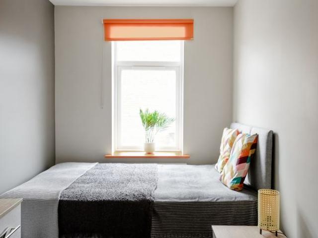 Room for rent in Alverton, East Midlands