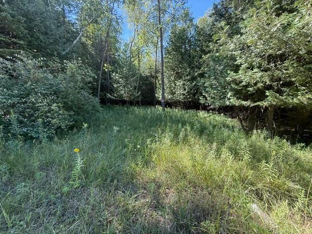 Land for sale in Wisconsin