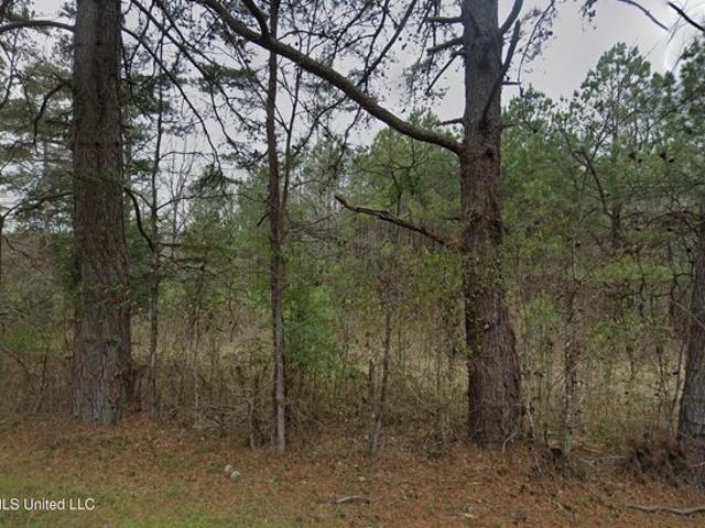 Land for sale in Terry, Mississippi