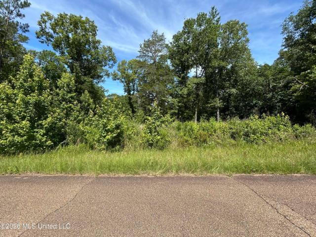 Land for sale in Terry, Mississippi
