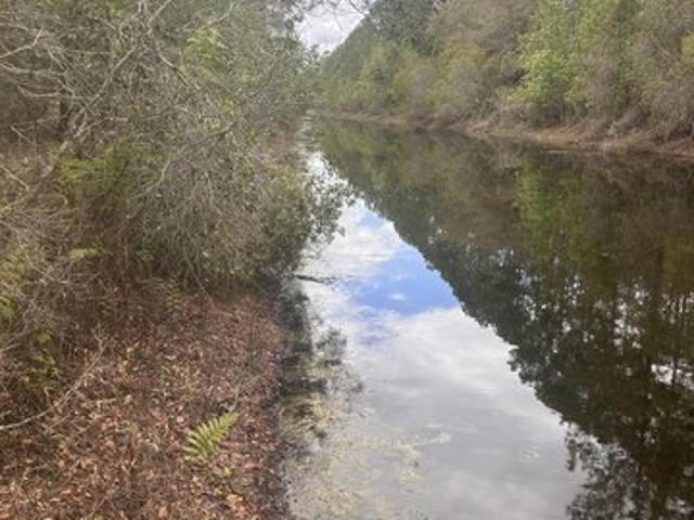 Land for sale in Palatka, Florida