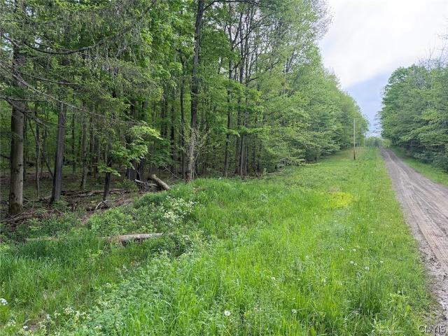 Land for sale in Leon, New York