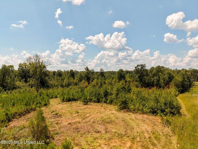 Land for sale in Winston, Mississippi