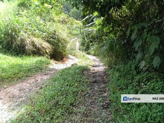 Shop for sale in Perak