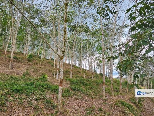 Shop for sale in Perak