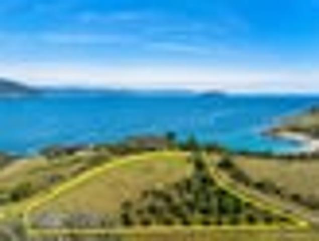 Land for sale in Waikato