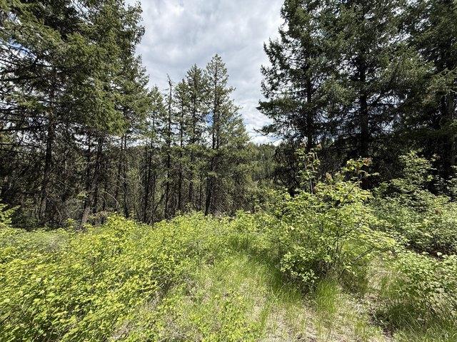 Land for sale in Republic, Washington