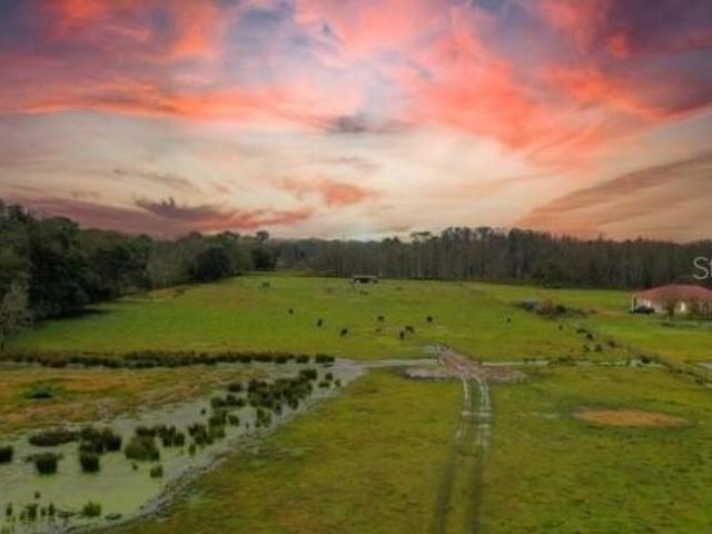 Land for sale in Groveland