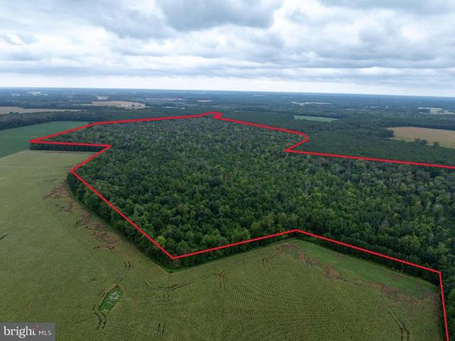 Land for sale in Virginia