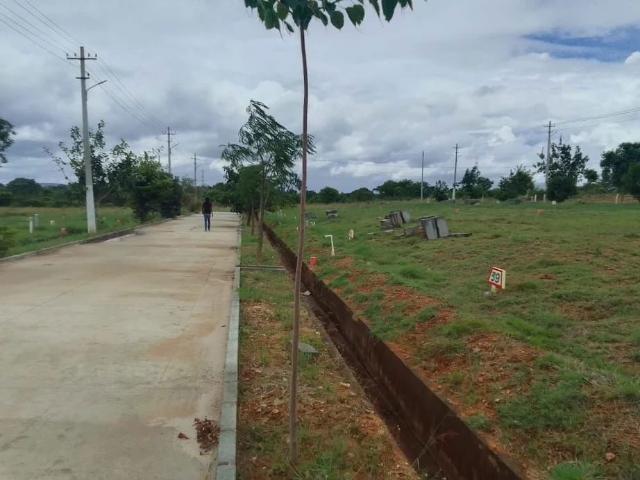House for sale in Bangalore North, Cox Town - Bangalore