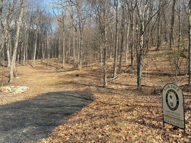 Land for sale in Virginia