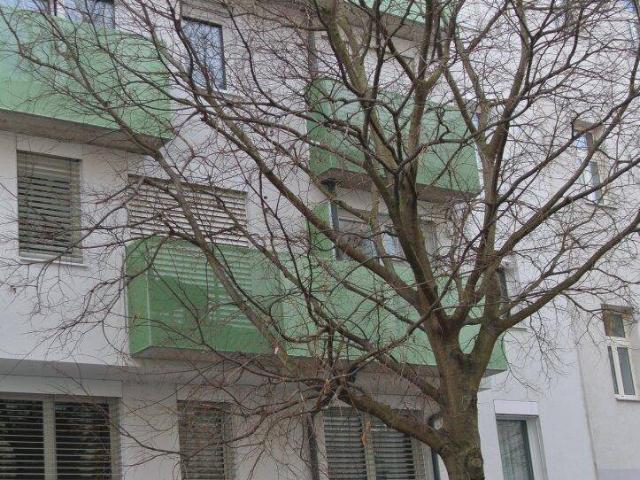 Apartment kaufen in KG Inzersdorf Stadt, Wien
